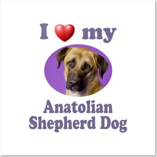 I Love My Anatolian Shepherd Dog Posters and Art